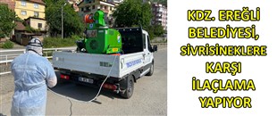 KDZ. EREĞLİ BELEDİYESİ, SİVRİSİNEKLERE KARŞI İLAÇLAMA ÇALIŞMALARINA BAŞLADI