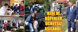 KEDİ VE KÖPEKLER ÜCRETSİZ AŞILANDI