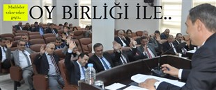 MART AYI MECLİS TOPLANTISI