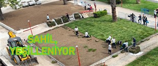 KDZ. EREĞLİ SAHİLİ, YEŞİLLENİYOR