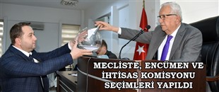 MECLİSTE, ENCÜMEN VE İHTİSAS KOMİSYONU SEÇİMLERİ YAPILDI