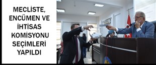 MECLİSTE, ENCÜMEN VE İHTİSAS KOMİSYONU SEÇİMLERİ YAPILDI