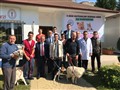 KEDİ VE KÖPEKLER ÜCRETSİZ AŞILANDI